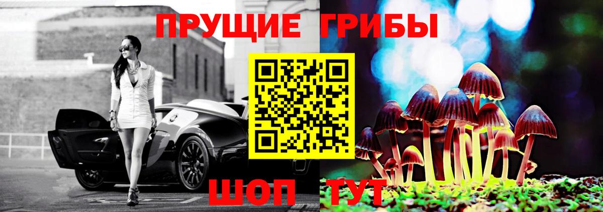 Каменск-Уральский  Галлюциногенные грибы Psilocybine cubensis  Вход с VPN 